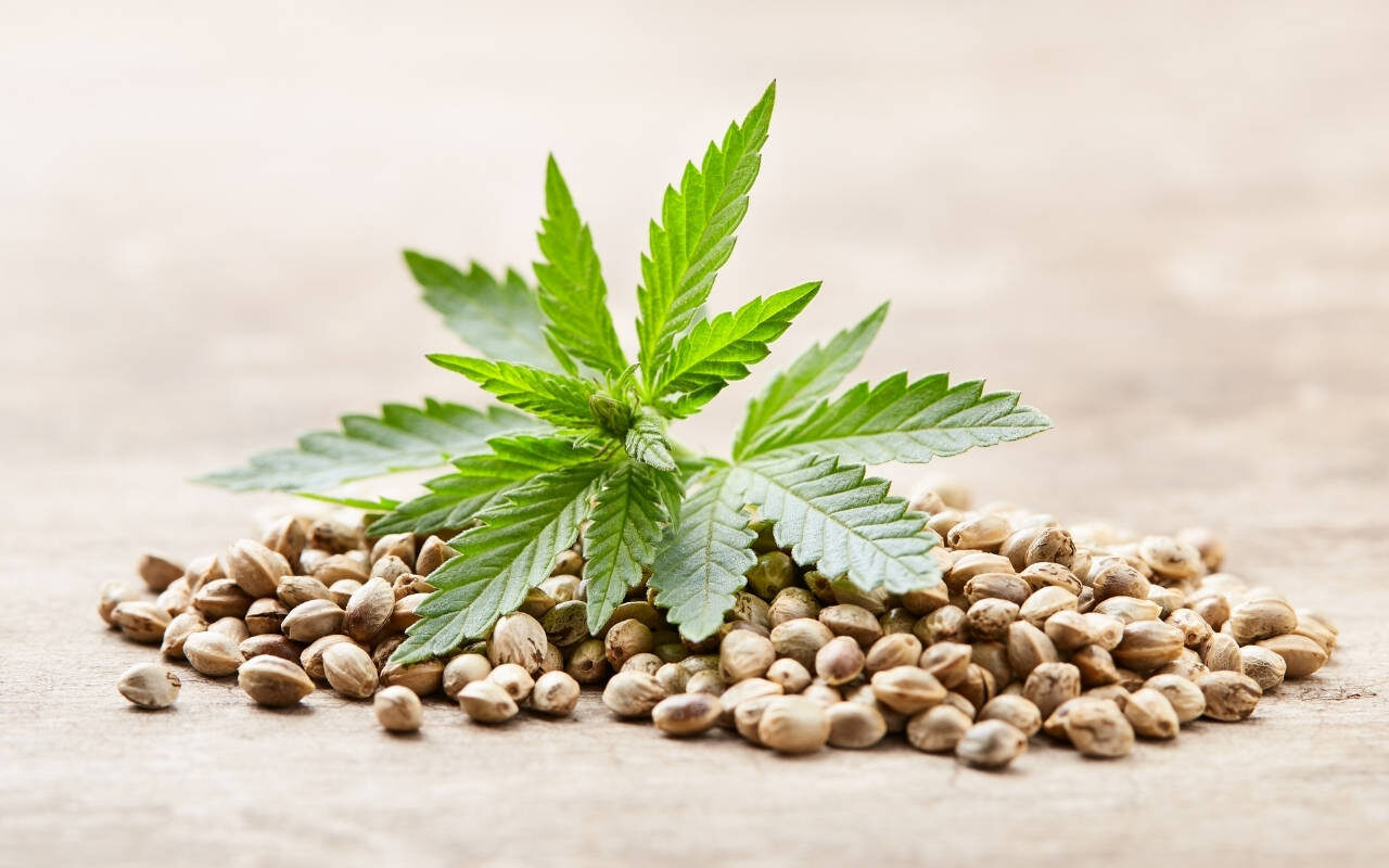Strain-genetica uitgelegd: van kruising tot fenotype